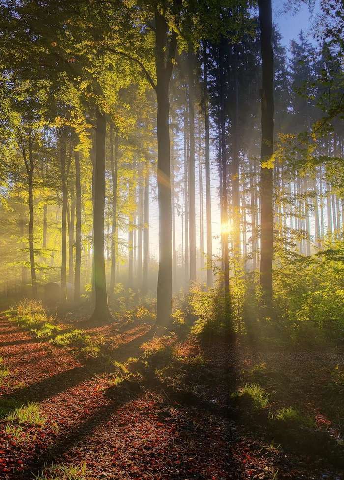 Überbauung in Raron